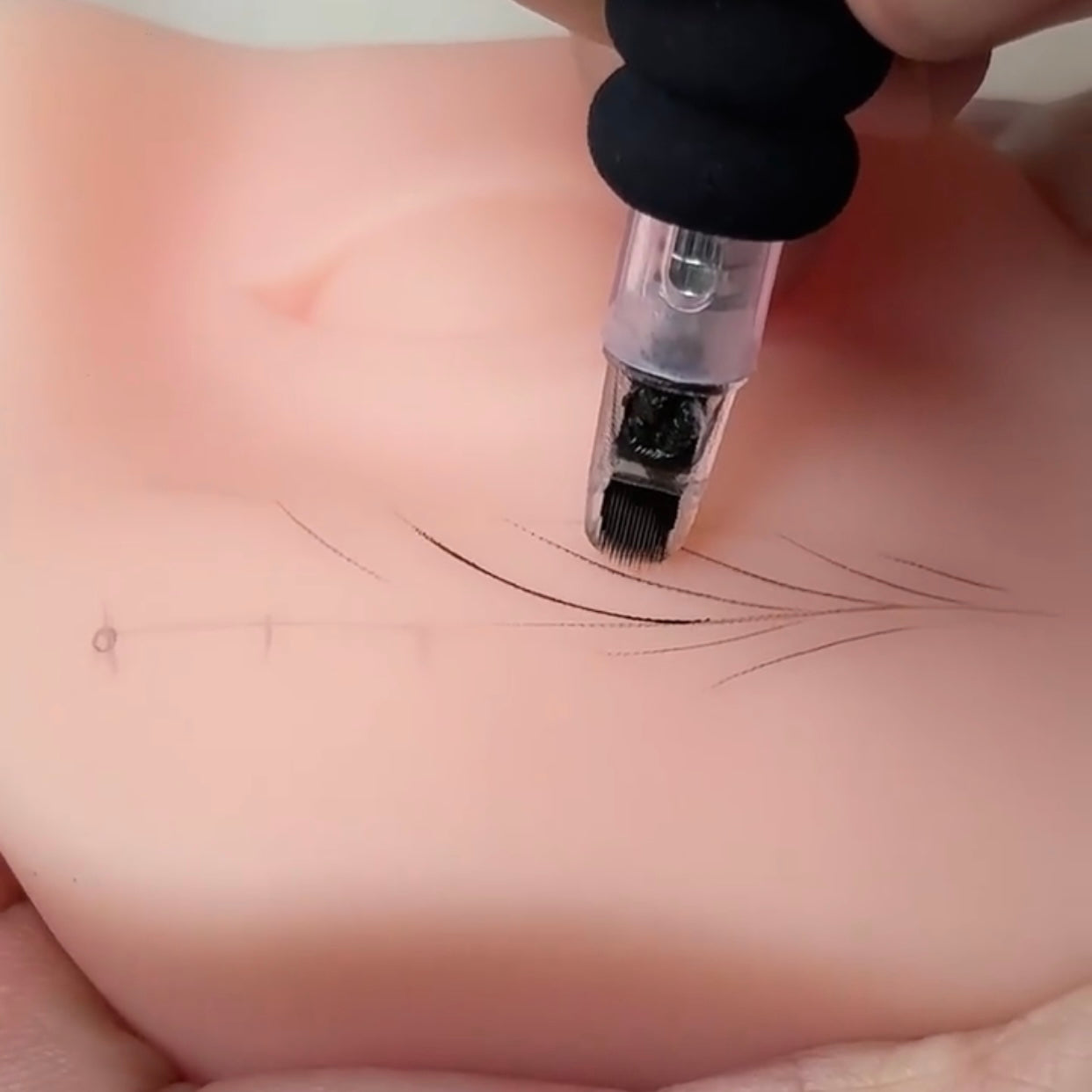 XF Realistic Silicone Eye Practice Module