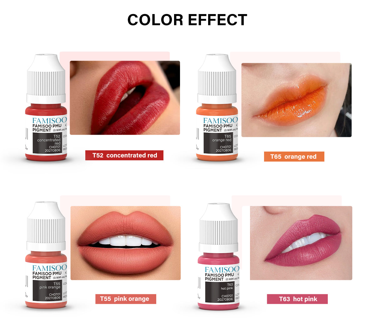 FAMISOO PMU Lip Pigments – 40 Professional Lip Colors for Permanent Makeup