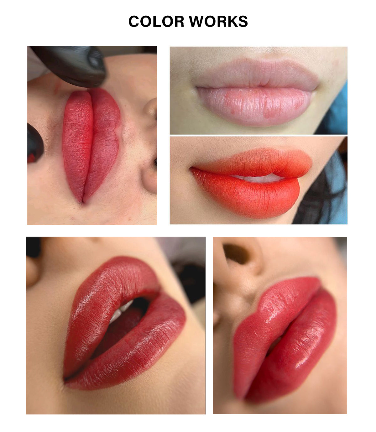 FAMISOO PMU Lip Pigments – 40 Professional Lip Colors for Permanent Makeup