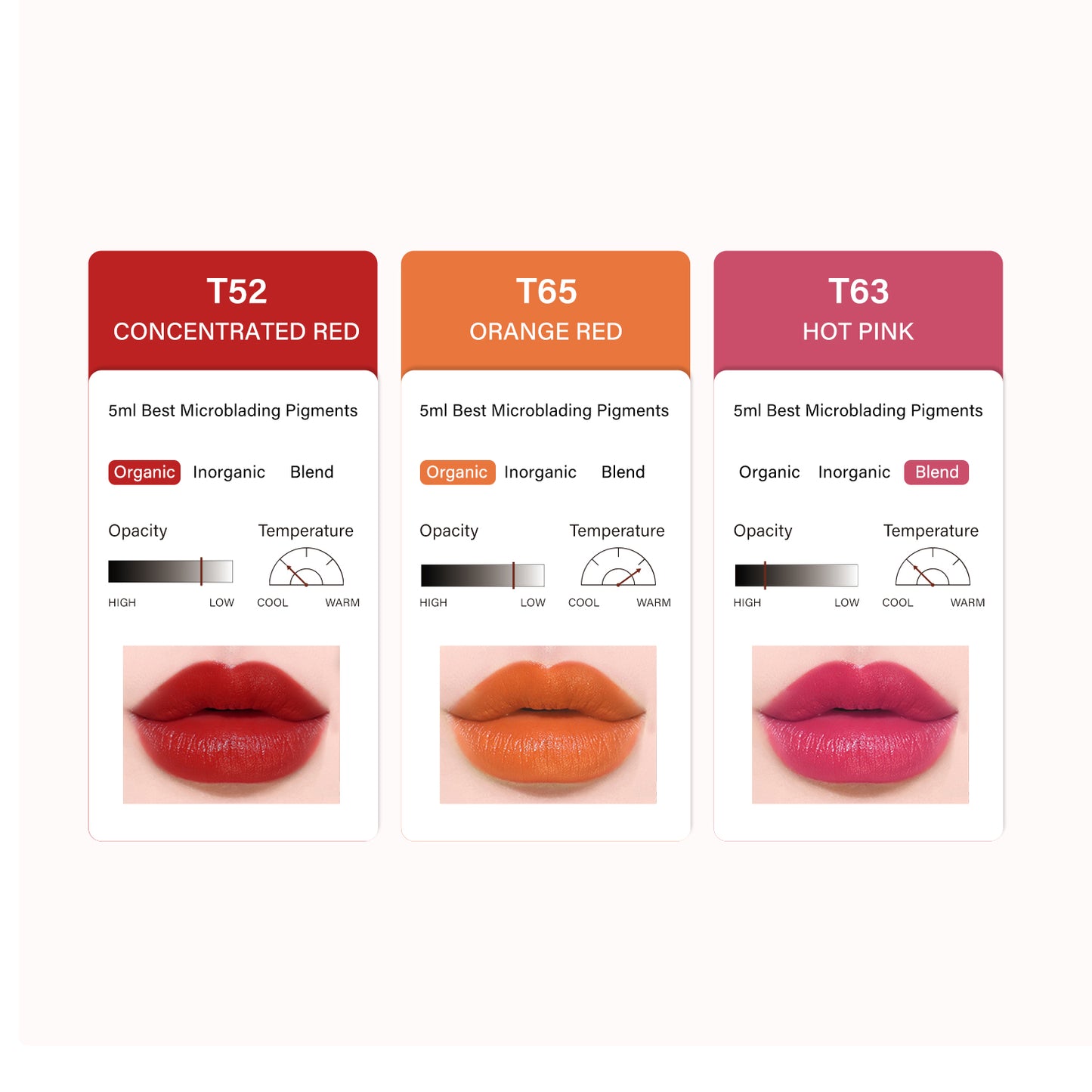 FAMISOO PMU Lip Pigments – 40 Professional Lip Colors for Permanent Makeup