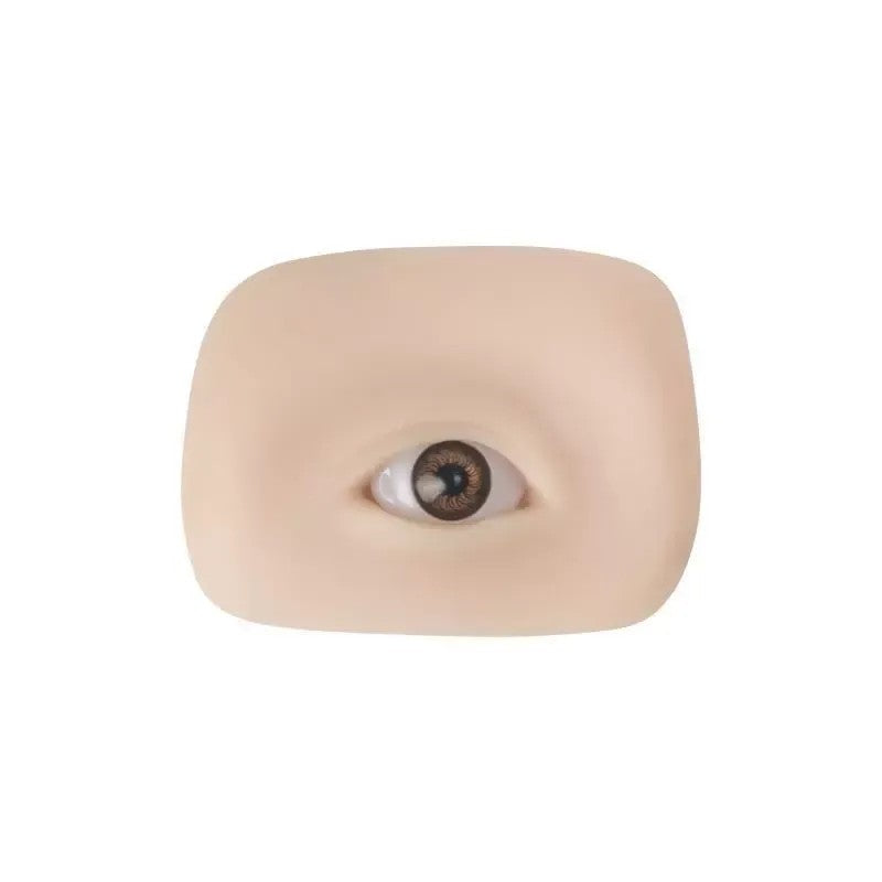 5D Eyelid Practice Mold โ Realistic Silicone Training Module for PMU Artists