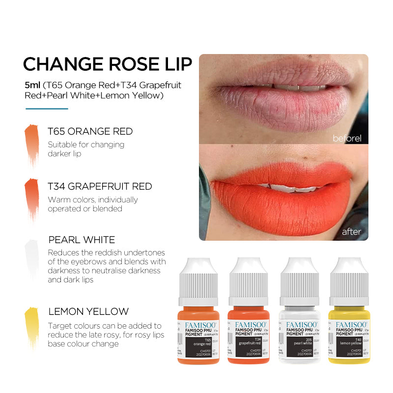 FAMISOO 5ML Permanent Makeup Pigments