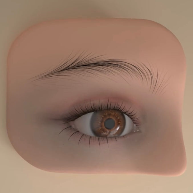 XF Realistic Silicone Eye Practice Module