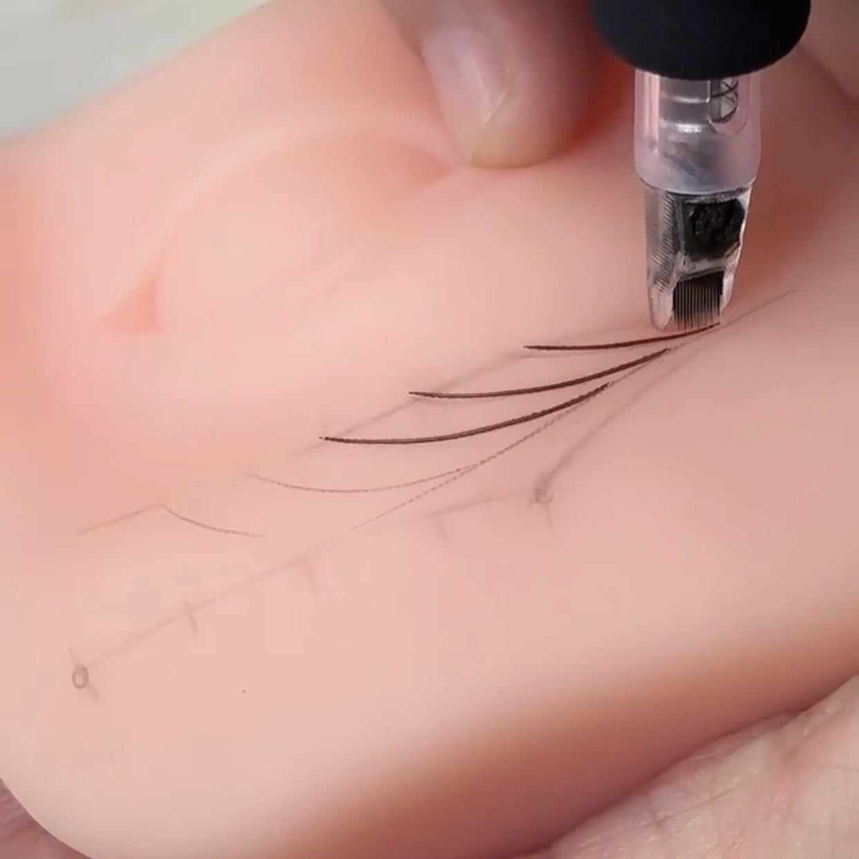 XF Realistic Silicone Eye Practice Module