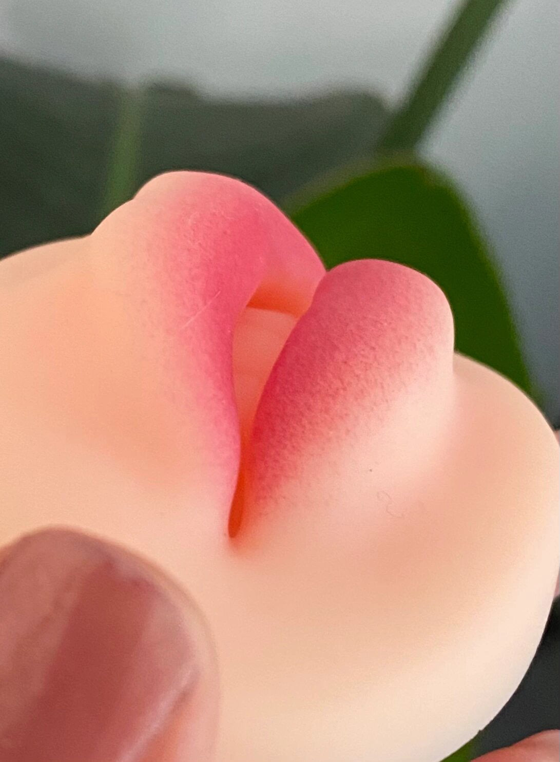 Modelo de práctica labial de silicona 5D de alta calidad, 50 g: perfecto para mapeo labial y entrenamiento de PMU.