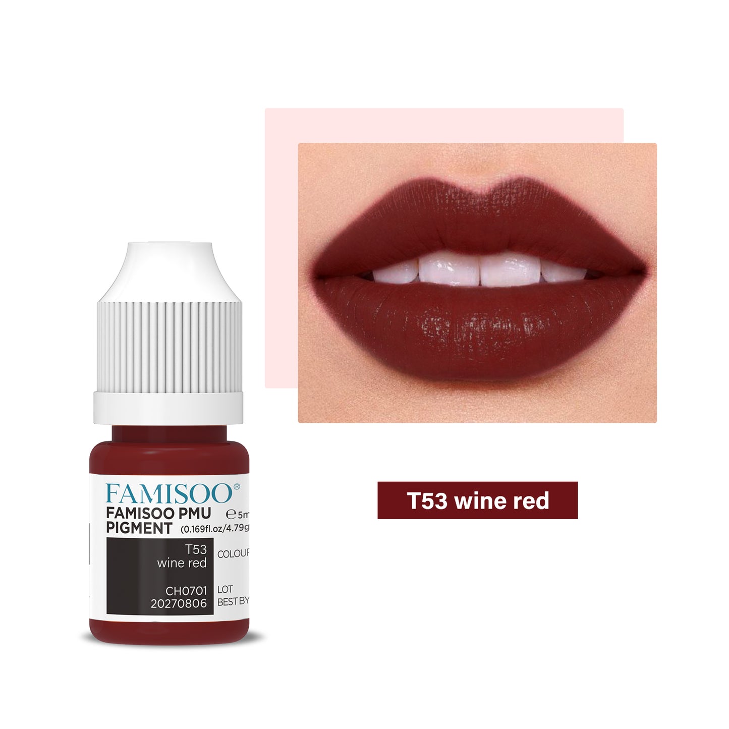 FAMISOO PMU Lip Pigments – 40 Professional Lip Colors for Permanent Makeup