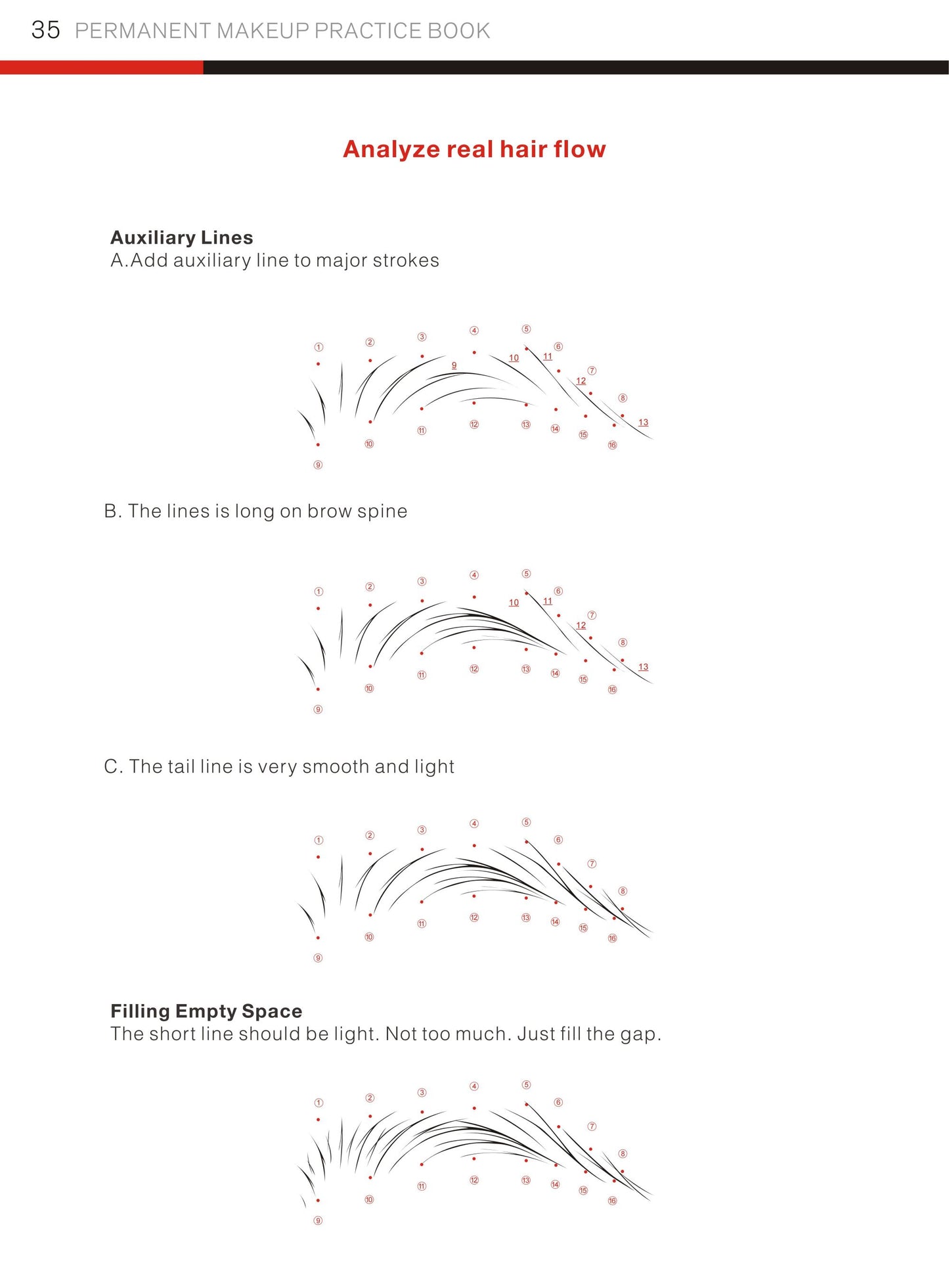 Hairstroke Permanent Make-Up Nano Augenbrauen Handbuch E-book