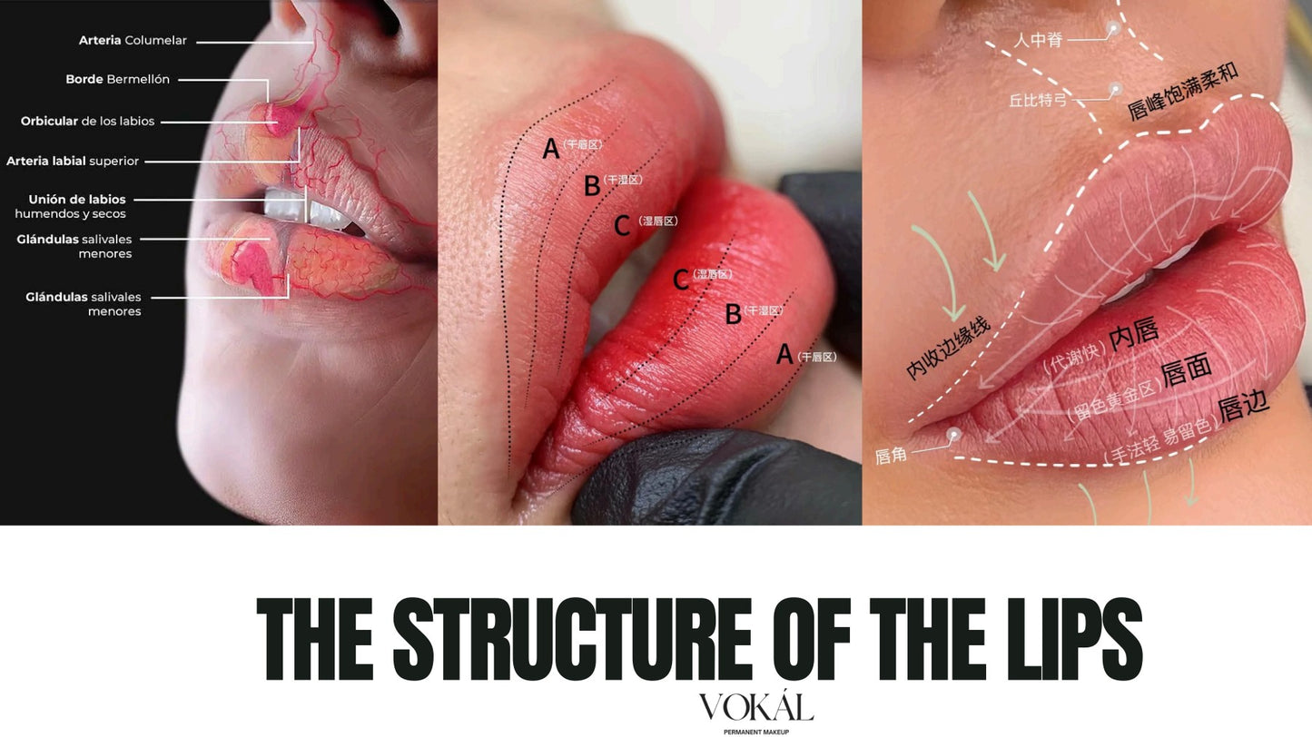 VOKÁL™ International PMU Online Master Course