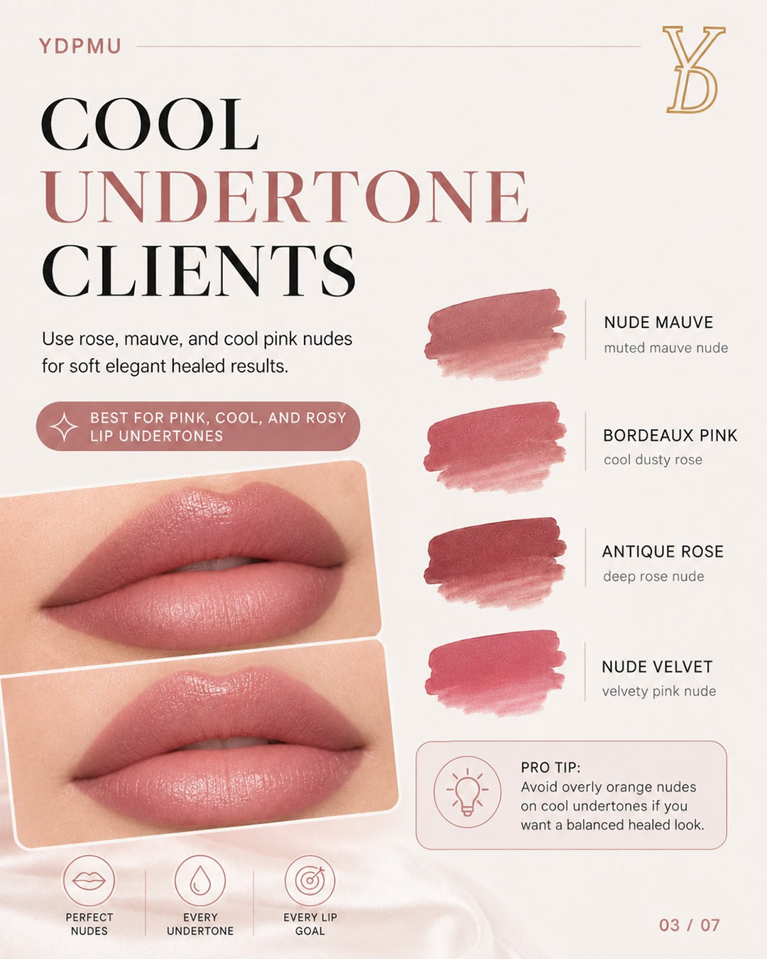 YD Powder Liquid Lip Pigments – 10 Nude Collection (6ml)