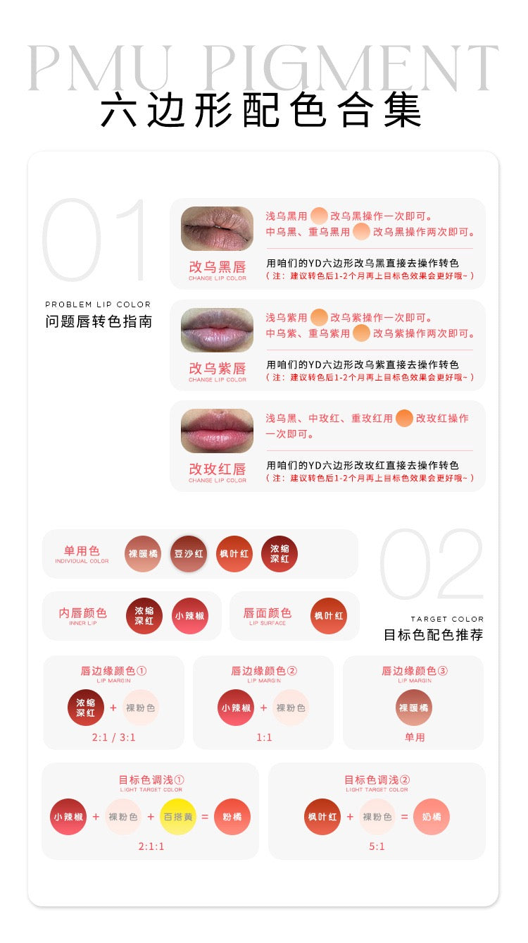 15ML Lip Correction & Enhancement Pigment – Chinese Packaging