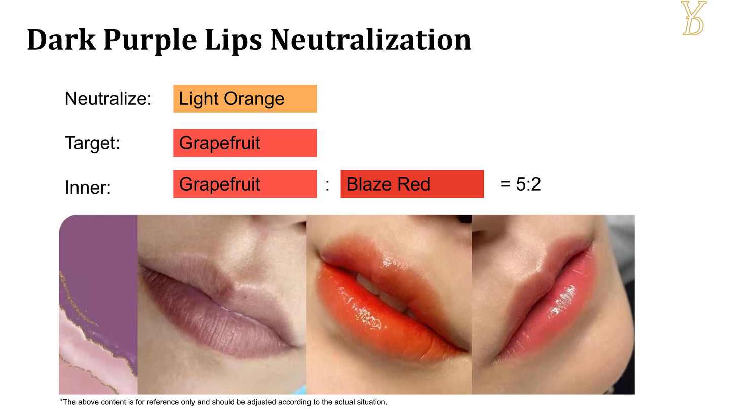 YD NEO Organic Liquid Pigments — Dark Lip Neutralize Set (10 Colors · 12ml) - Free Shipping