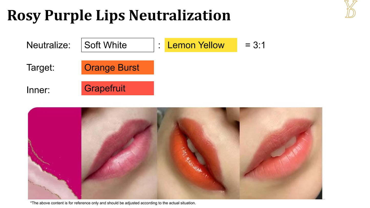 YD NEO Organic Liquid Pigments — Dark Lip Neutralize Set (10 Colors · 12ml) - Free Shipping