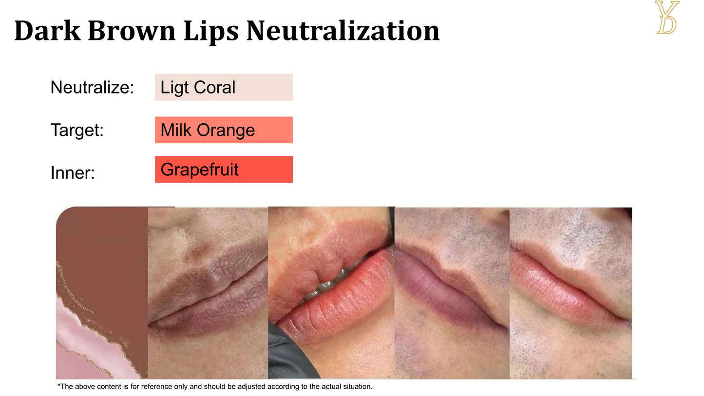 YD NEO Organic Liquid Pigments — Dark Lip Neutralize Set (10 Colors · 12ml) - Free Shipping