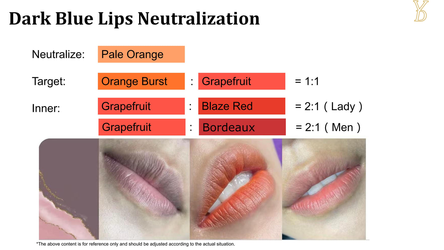 YD NEO Organic Liquid Pigments — Dark Lip Neutralize Set (10 Colors · 12ml) - Free Shipping