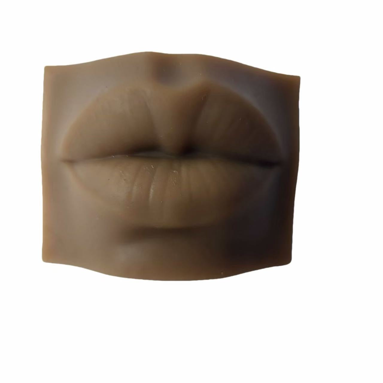 VOKÁL™ 3D Lip Mold Practice Pad — Realistic Silicone Training Model for PMU Artists