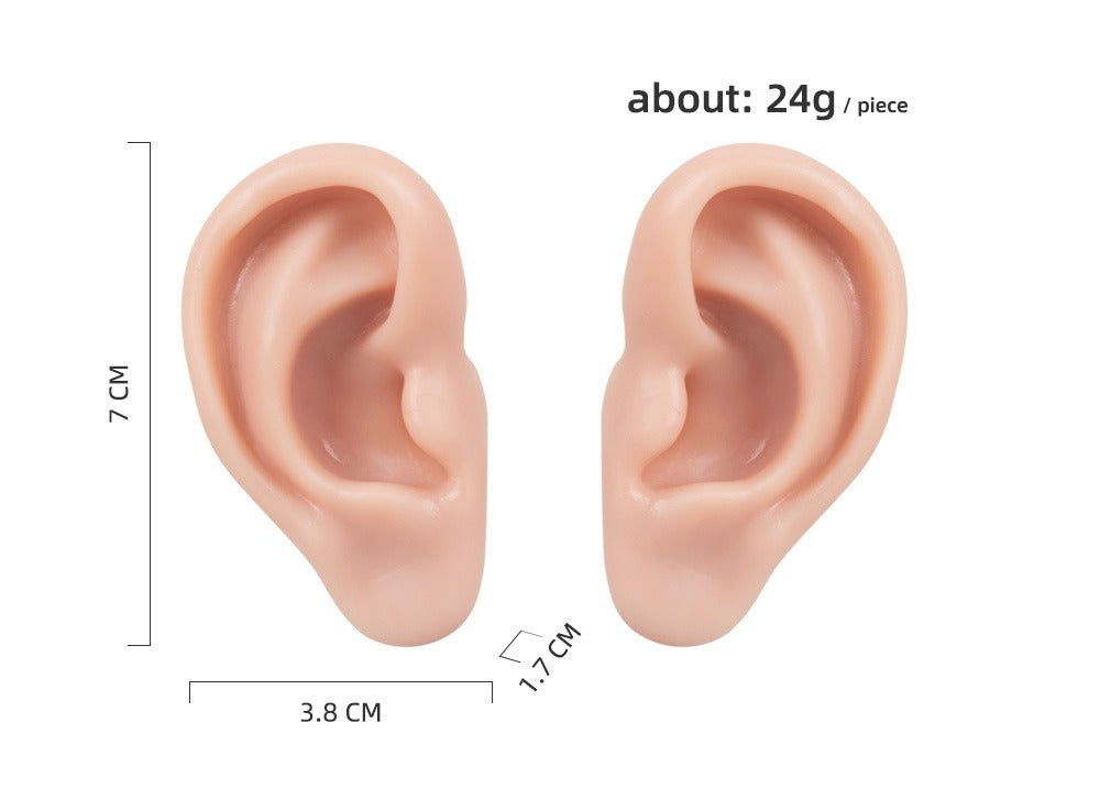 Realistic Silicone Ear Model | 3D Ear Practice Tool for Training & Demonstration (Pair / Set)