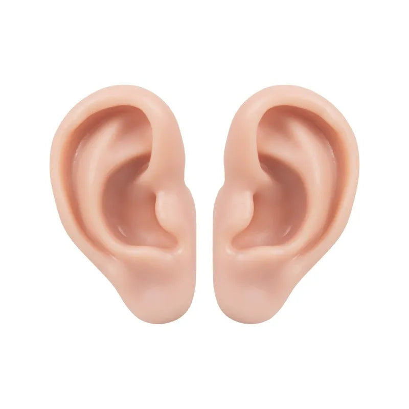 Realistic Silicone Ear Model | 3D Ear Practice Tool for Training & Demonstration (Pair / Set)