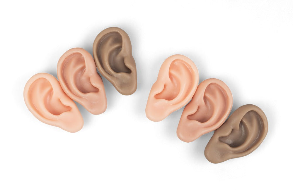 Realistic Silicone Ear Model | 3D Ear Practice Tool for Training & Demonstration (Pair / Set)