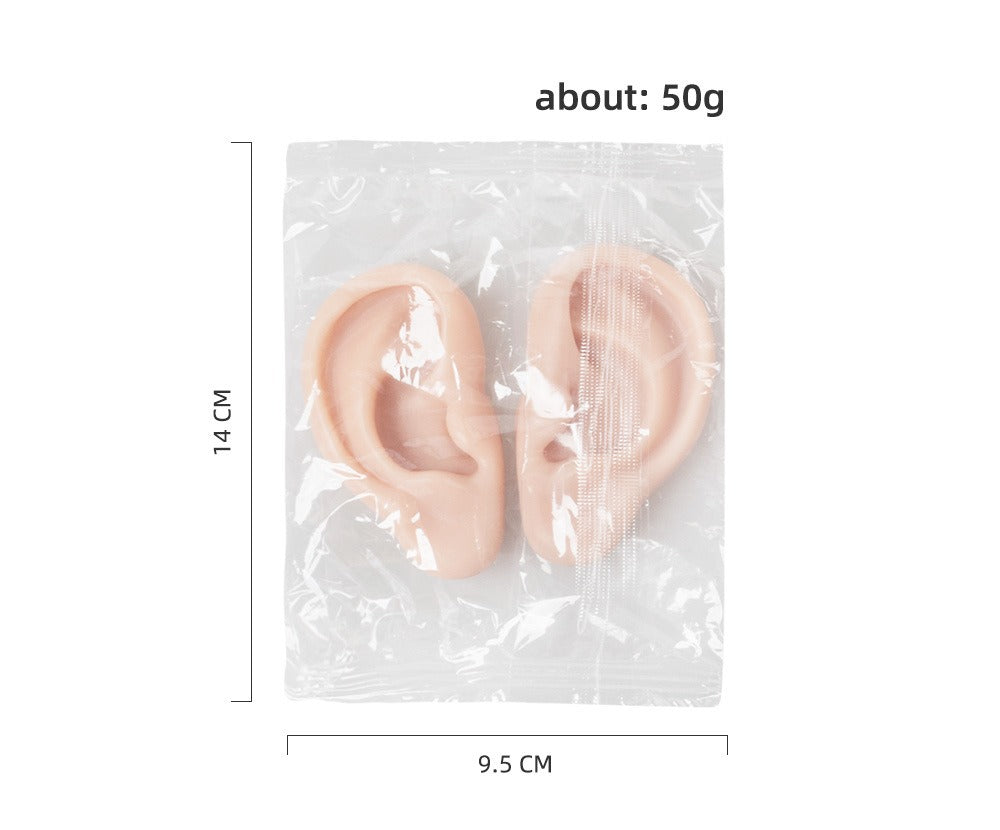 Realistic Silicone Ear Model | 3D Ear Practice Tool for Training & Demonstration (Pair / Set)