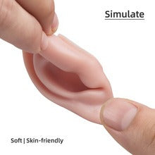 Realistic Silicone Ear Model | 3D Ear Practice Tool for Training & Demonstration (Pair / Set)