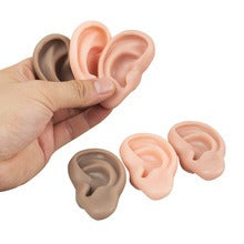 Realistic Silicone Ear Model | 3D Ear Practice Tool for Training & Demonstration (Pair / Set)