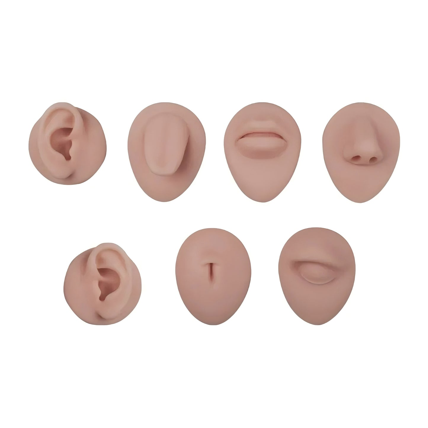 Silicone Facial Features Practice Model – 7-Piece Set
