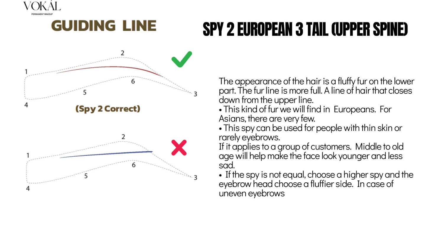 VOKÁL™ International PMU Online Master Course