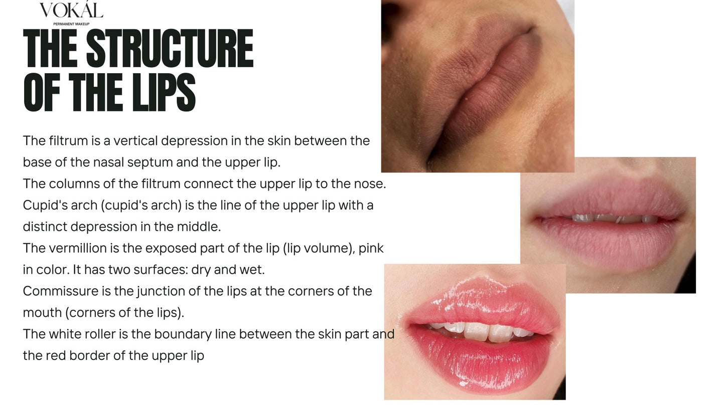 VOKÁL™ International PMU Online Master Course